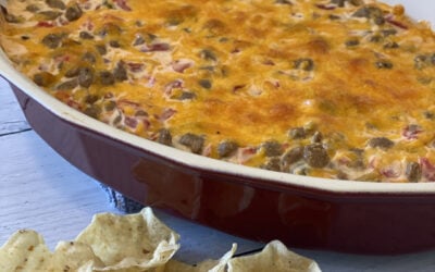 Sausage Cheese Dip