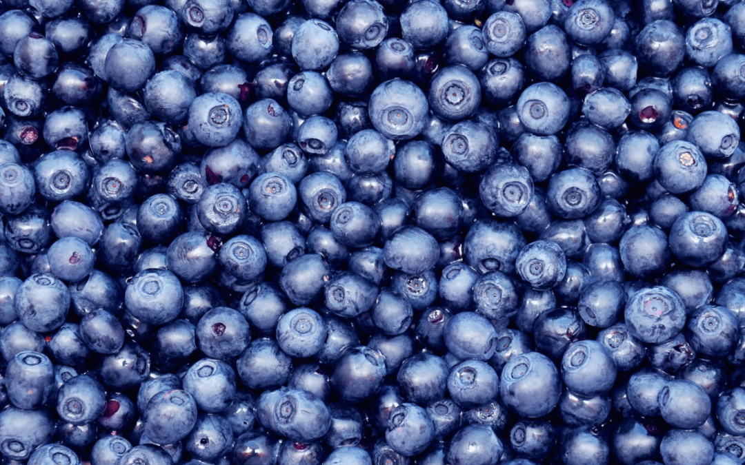 blueberry recipes