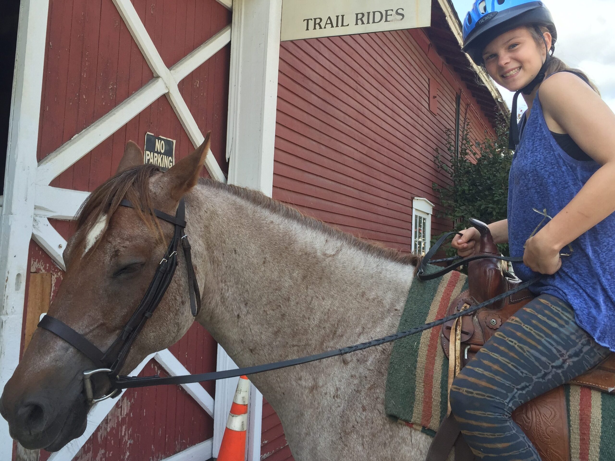 Horses and Horseback Riding