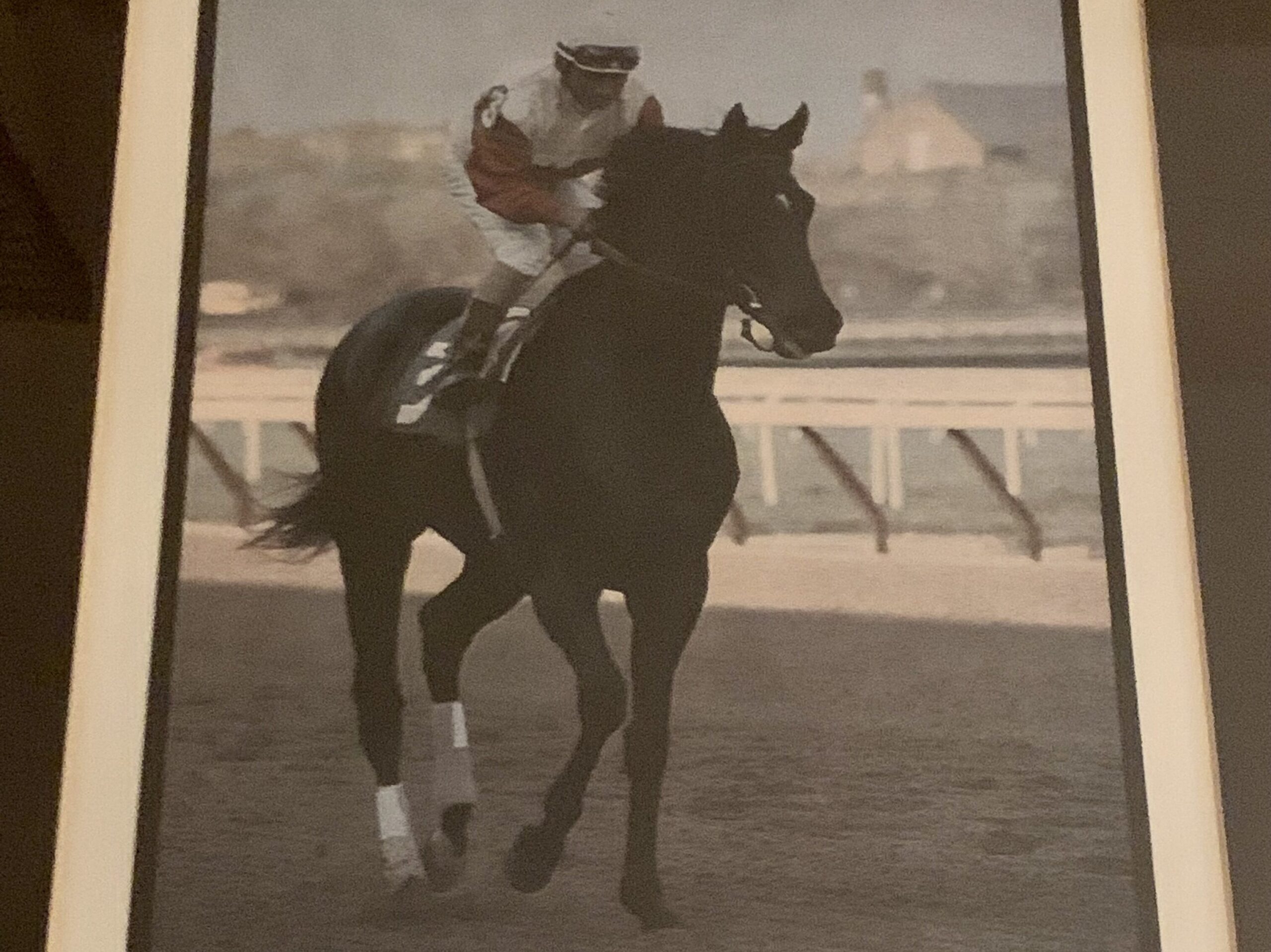 Horses Portrait of Ruffian given by Grandpa