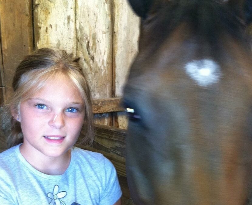 What Horses Mean to Me