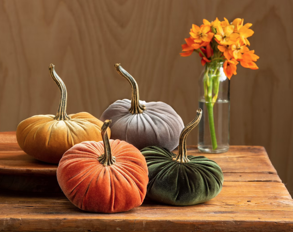 labor day sales pumpkins