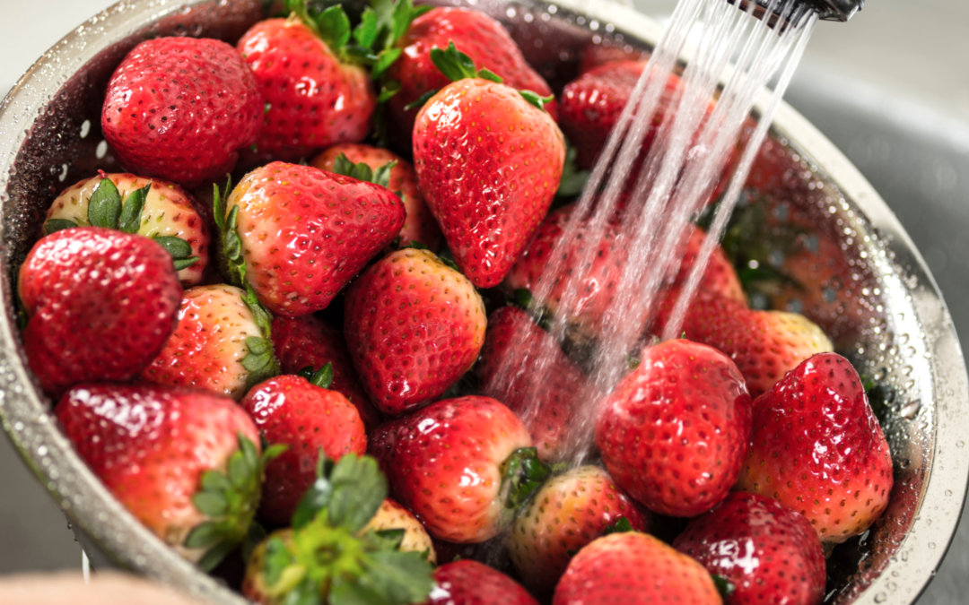 fresh produce header