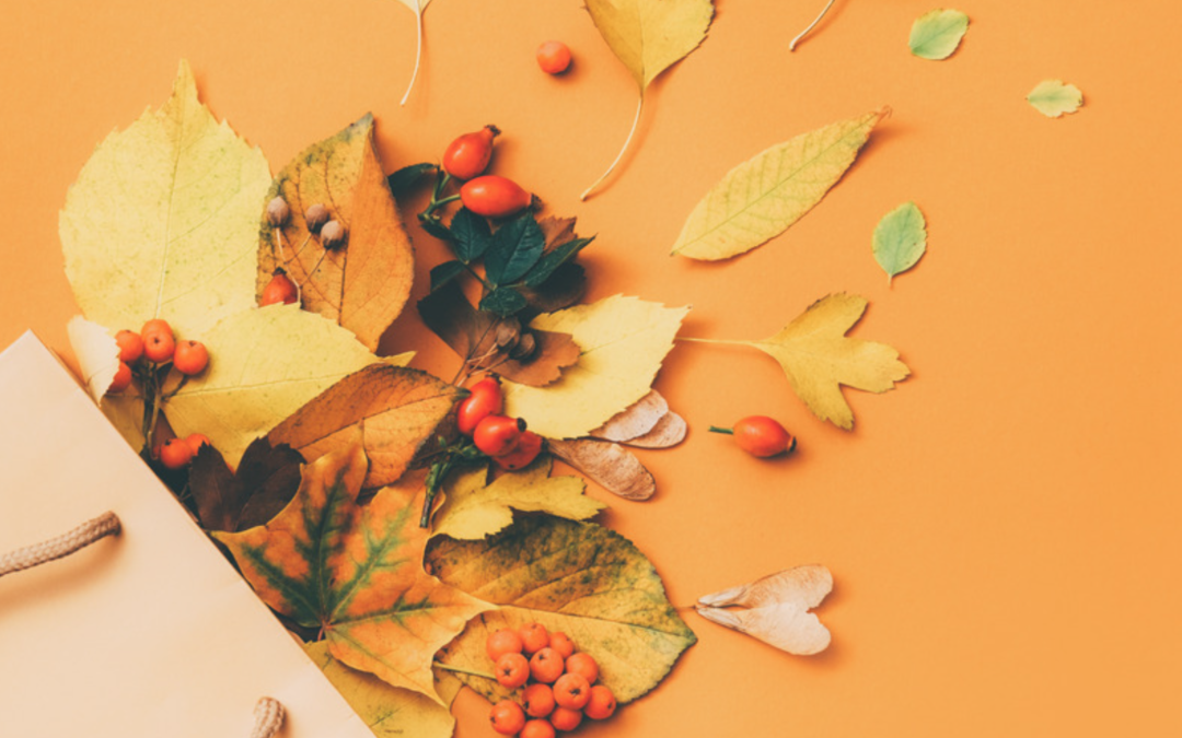 fall finds header