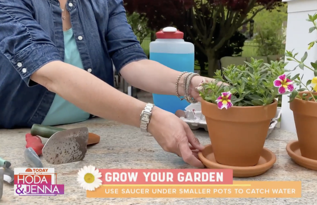 Gardening Tips