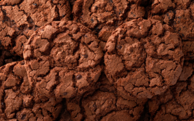 My Most Popular Chocolate Recipes