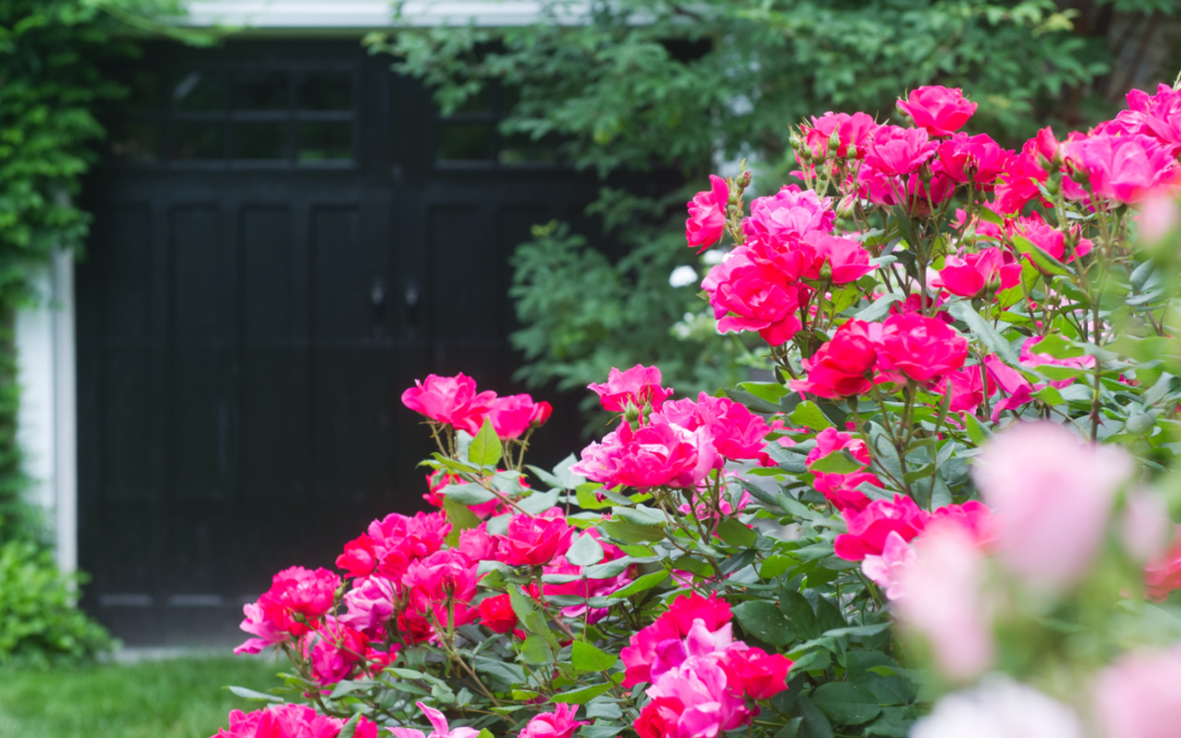 Getting My Garden Ready For Another Gorgeous Season